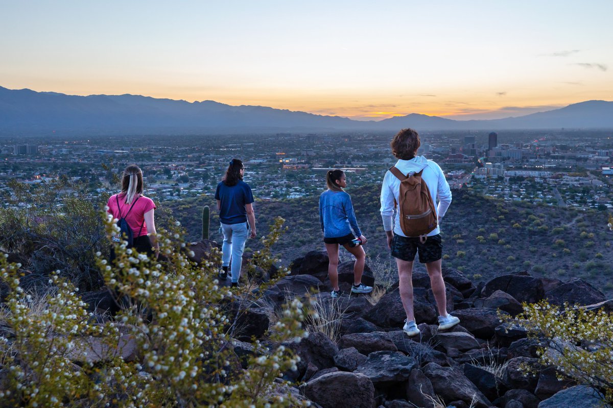 uasaltctr's tweet photo. We are going hiking! Join us on a relaxing and beautiful hike up Tumamoc Hill. Happy trails, Wildcats! 🌵☀️

🗓 Sat. February 25th at 10 AM 
📍 We will provide transportation from the SALT Center
✏️Register through TutorTrac under “Events &amp; Activities” by Thurs. February 22nd https://t.co/MqCzgVNHH9