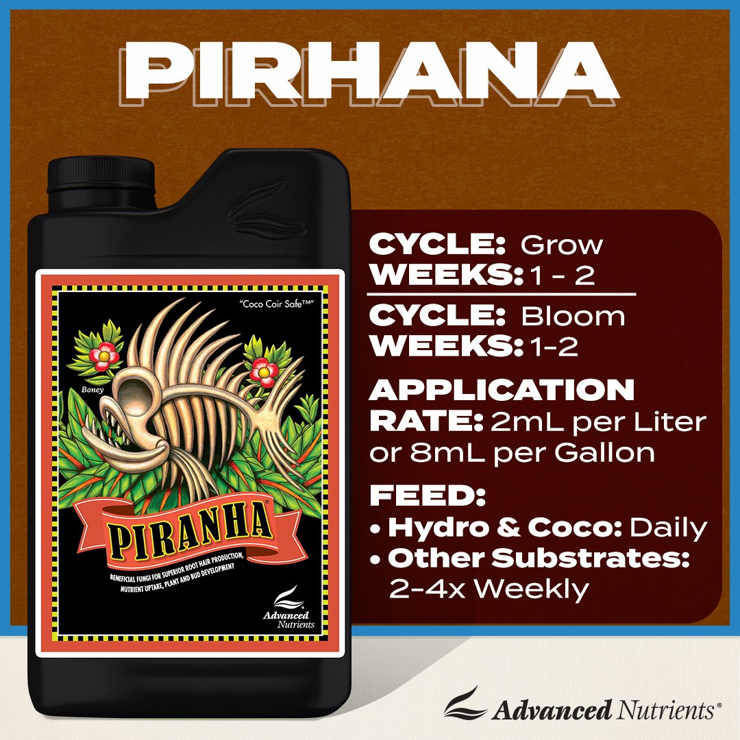 Piranha® is loaded with powerful fungi for maintaining a well-balanced, yield-boosting root zone. With the help of beneficial bacteria, these fungi break down nutrients into plant-available forms while feeding on waste secreted by the roots.

#beneficialfungi #microbes #angrown