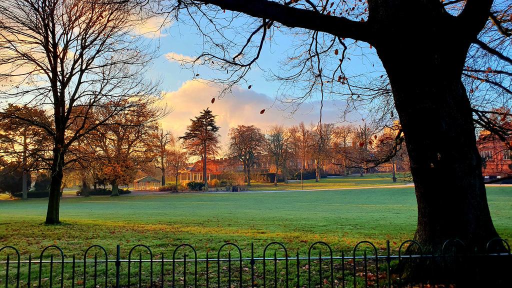 NimbusHunter's tweet photo. #TheOneShow 
Photo for The One Show.
Botanic Gardens Belfast.
Rod O'Doherty, County Down. https://t.co/qCpgnD61t4