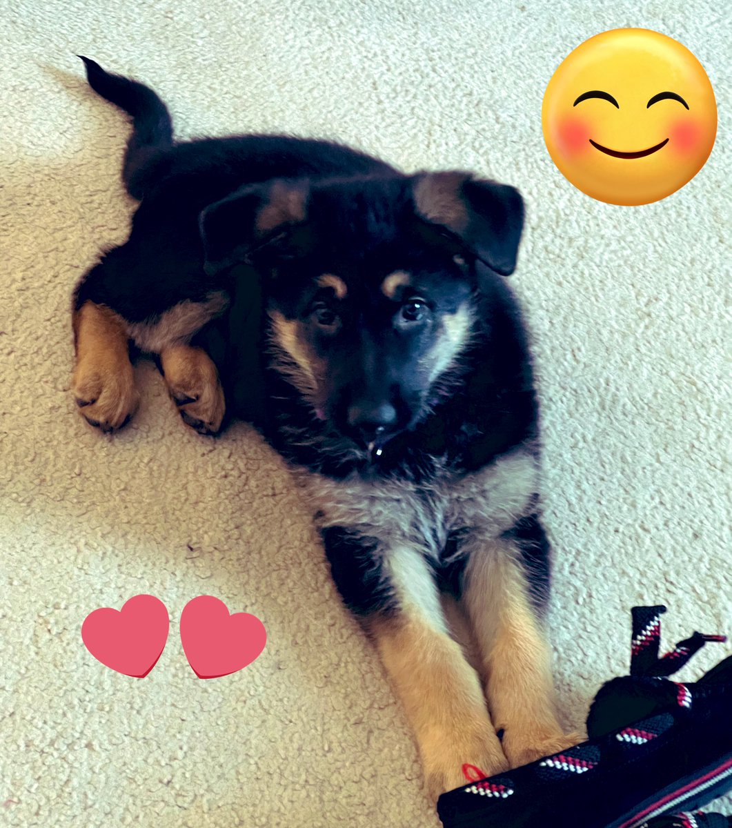 Veronica Rodriguez tweet media