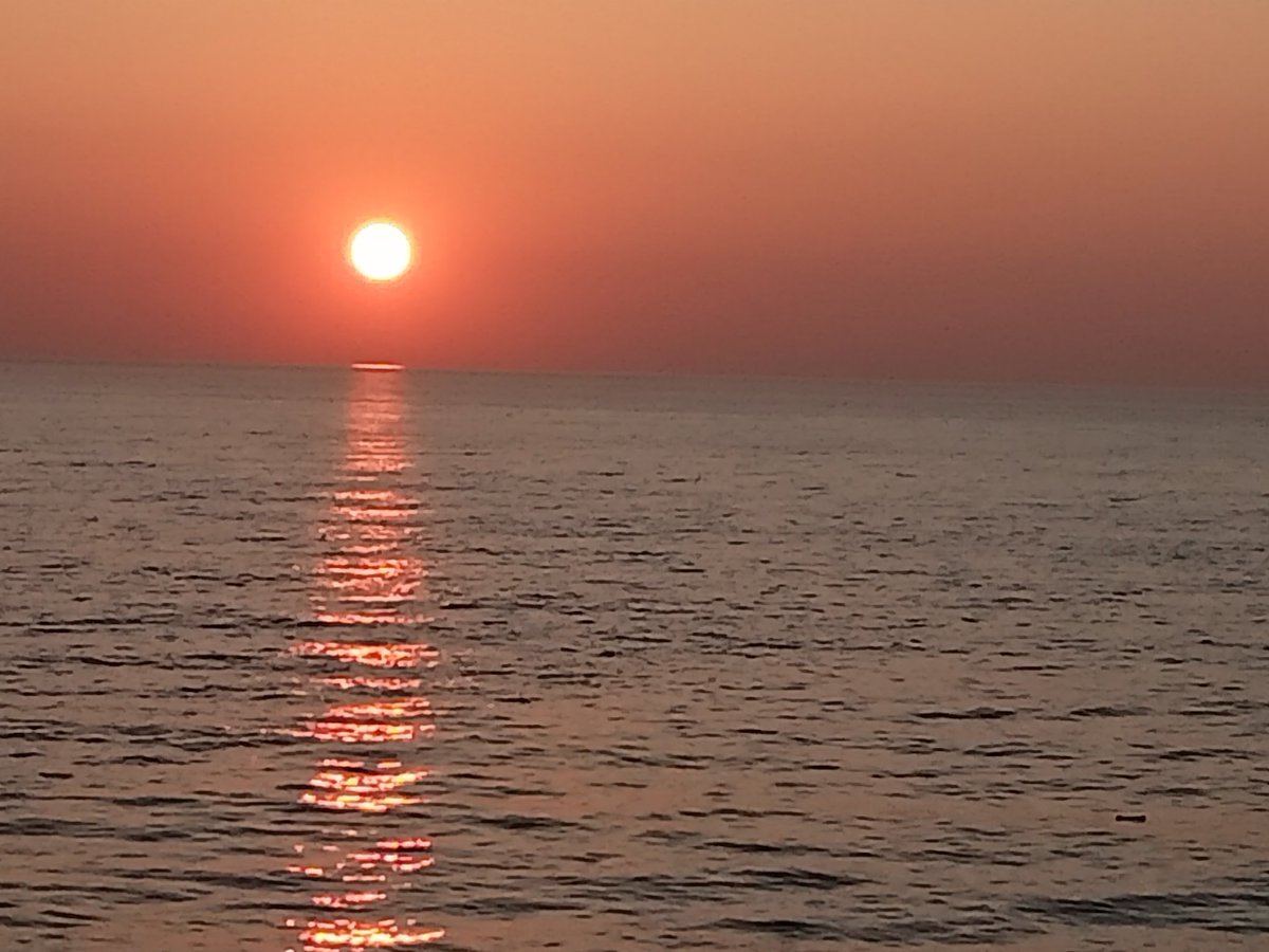 Ron's Squad (@billiondaywater) on Twitter photo 