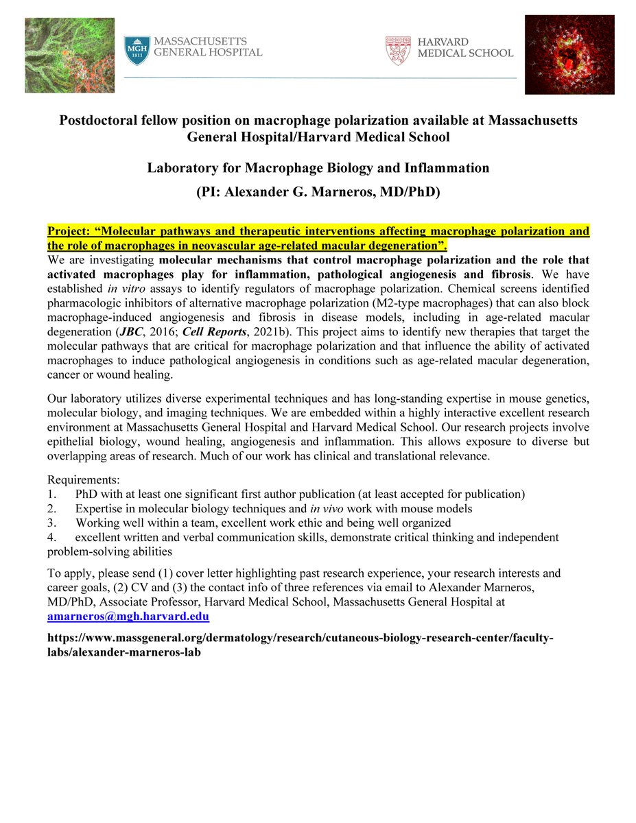 Marneros Laboratory tweet media