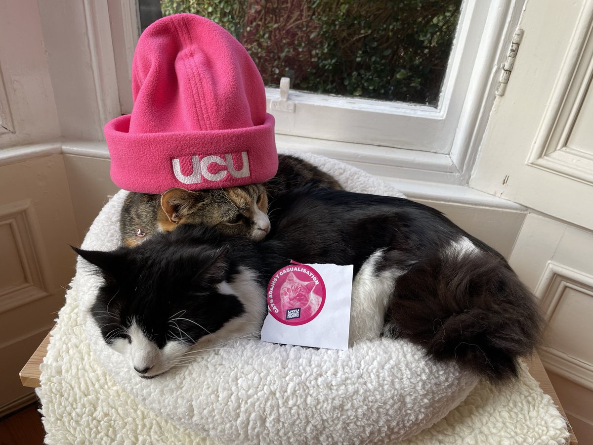 Cats against casualisation resting up for the ⁦@ucuedinburgh⁩ picket tomorrow #ucustrike #ucurising