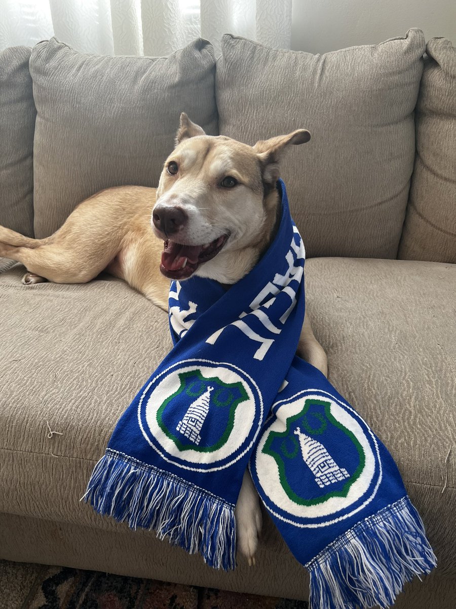 Lacey knows that Everton are Magic! #MyPLMorning #EFC #EVELIV @CarolinaToffees @PLinUSA @NBCSportsSoccer