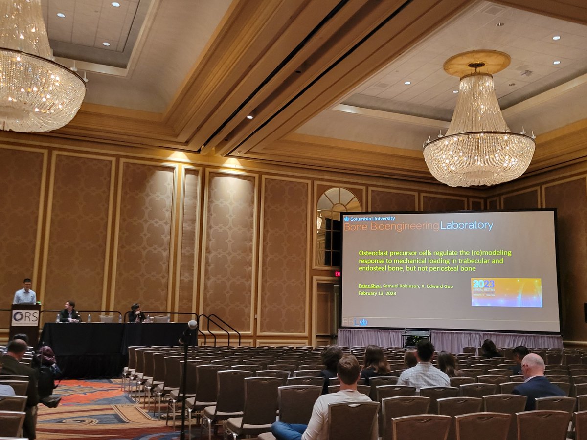 Columbia Bone Bioengineering Lab (@columbiabbl) on Twitter photo Great talk by Peter Shyu on osteoclast precursor cells regulating bone 🦴 @ORS 2023 <a href="/ColumbiaBME/">Columbia BME</a> Great talk by Peter Shyu on osteoclast precursor cells regulating bone 🦴 @ORS 2023 <a href="/ColumbiaBME/">Columbia BME</a>