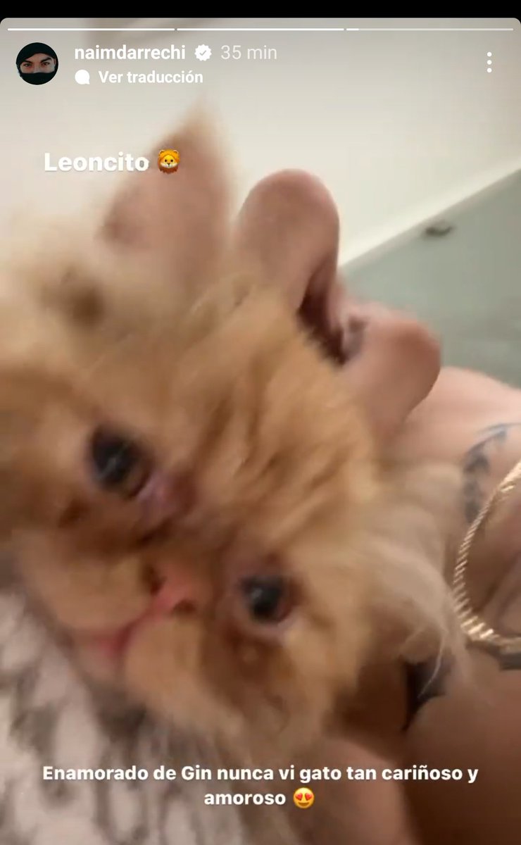 froveg10's tweet photo. Yeri Mua llorando en su live y diciendo que se quiere morir / Naim en el otro cuarto jugando con el gato 🫠💀 https://t.co/fUfQlBG3CP