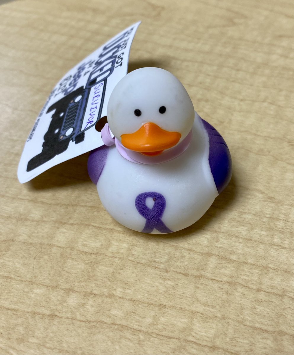 #InternationalEpilepsyDay 
Presenting few members of our team who care for patients with #Epilepsy! My patient gave me a purple rubber duck for being #seizure free for 3 years after #epilepsysurgery done on Feb 14th! This makes me & our team @UKYneuroscience so happy 💜🤍💜