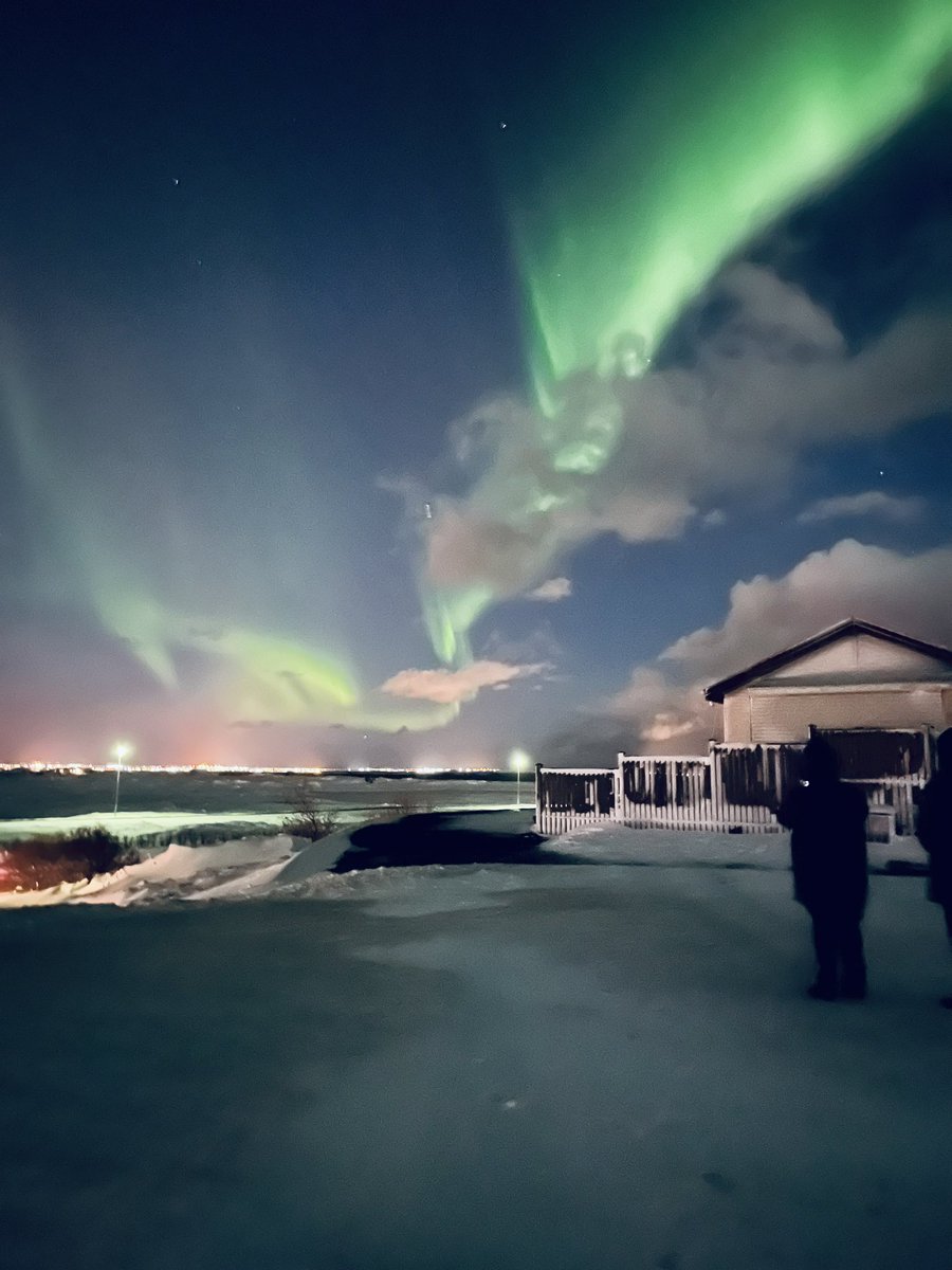 lisa page tweet media