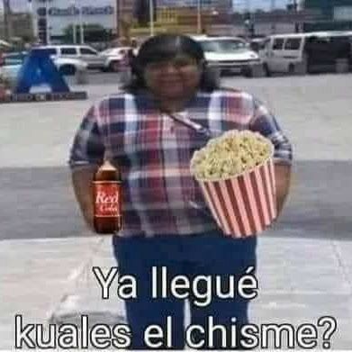 ₍ ᐢ..ᐢ ₎ tweet media