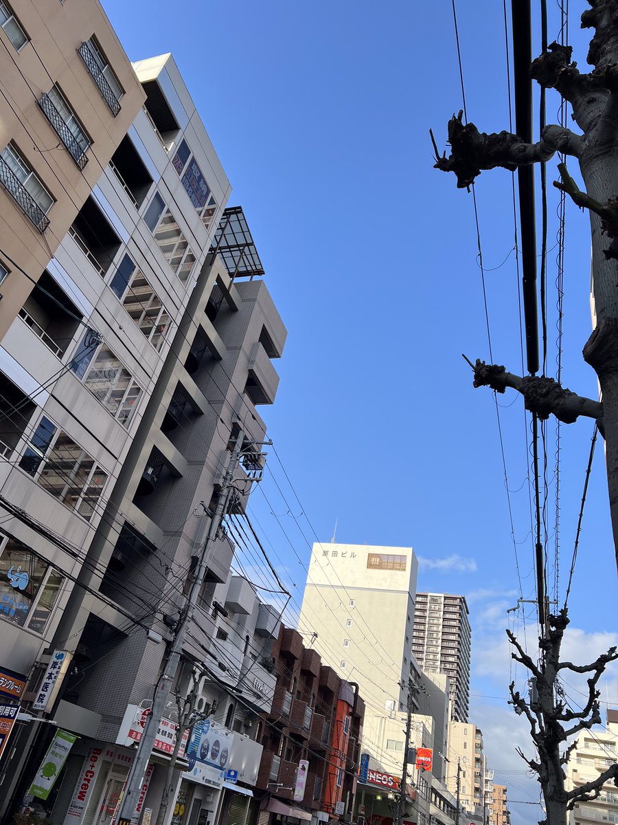 おはようございます！
大阪市西区の #イマソラ 昨日と変わって青空が広がっています☀️
今日は #バレンタインデー 🍫
甘いチョコレートが食べたくなりますね☺️
みなさま素敵な1日を🎶

#就労移行支援#企業公式が地元の天気を言い合う  #企業公式が毎朝地元の天気を言い合う　#企業公式つぶやき部