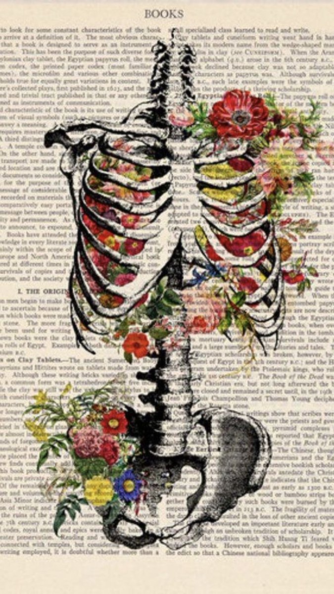 "เทพเจ้าแห่งความรักนอนอยู่ใต้ต้นไม้ ขว้างไฟที่ลุกโชนลงกับพื้น
เมื่อเห็นว่าเทพผู้ร้ายกาจหลับใหล
นางไม้ตัดสินใจที่จะวิ่งออกจากพุ่มไม้"

"หากร่างกายคนเรามีสารอาหารเพียงพอที่จะหล่อเลี้ยงดอกไม้เลือดได้ มันจะเป็นเช่นไร นั่นเป็นเพียงข้อสมมุติ"

#ดอกไม้ที่อยากปลูกบนร่างกายผู้มารีทวิต