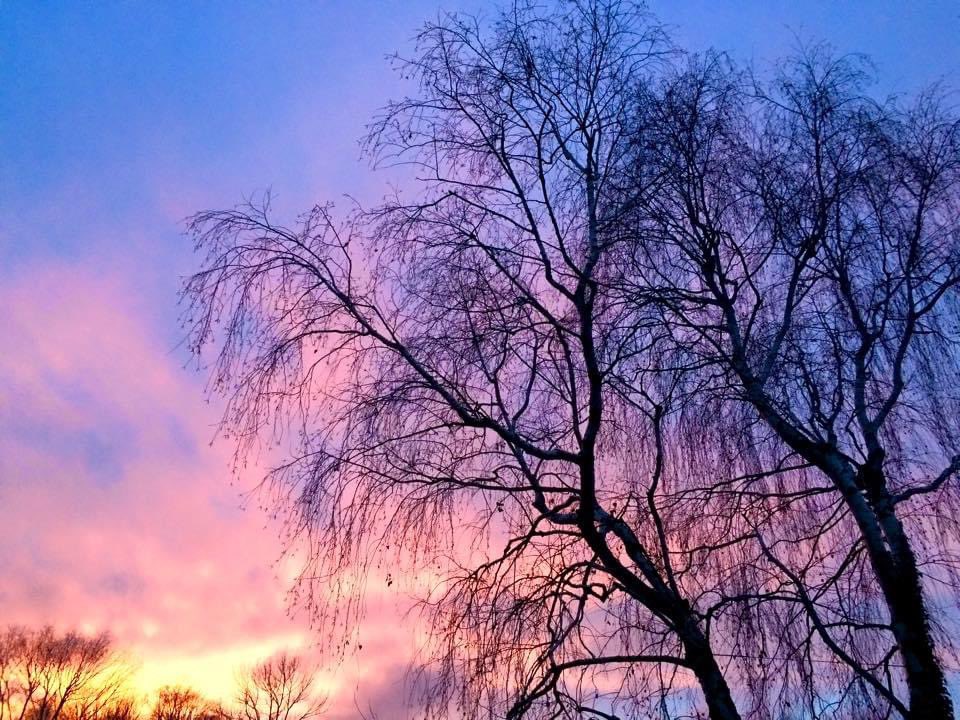 “Notice that the stiffest tree is most easily cracked, while the bamboo or willow survives by bending with the wind.” -Bruce Lee ❥

#selflove #quoteoftheday #natureisperfect #natureismagic #natureiscalling #willowtree #naturephotographylover #sunsetphotography #skypics
