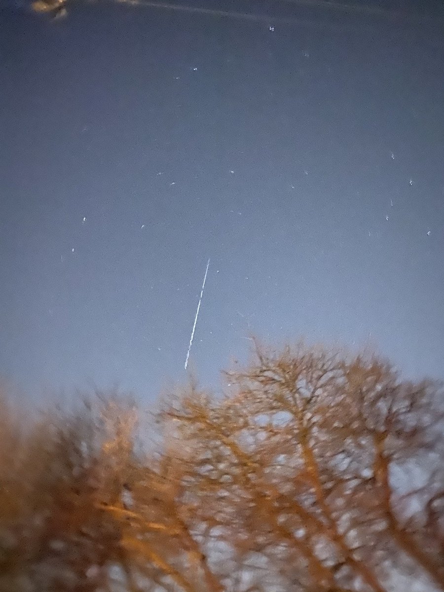 Peyton Phillips tweet media