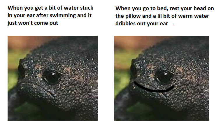 Purdoodles.basic🐉💚 tweet media