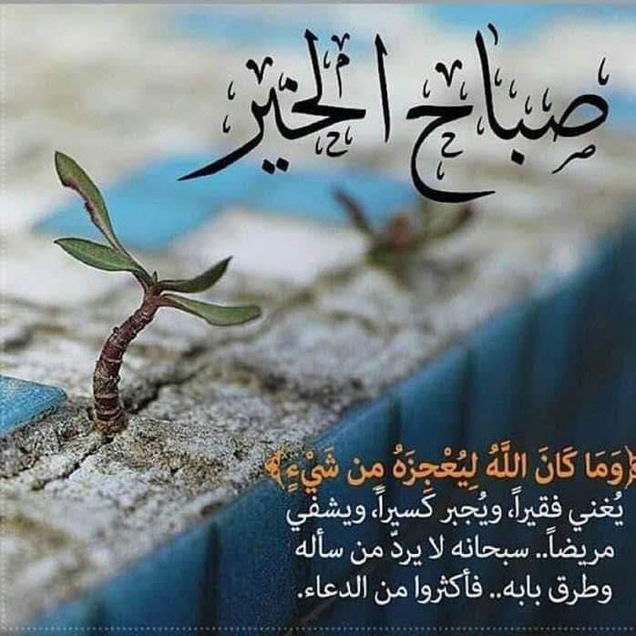 محبة الوطن (عيناوية)🇦🇪🇦🇪 (@mm25187600) on Twitter photo 