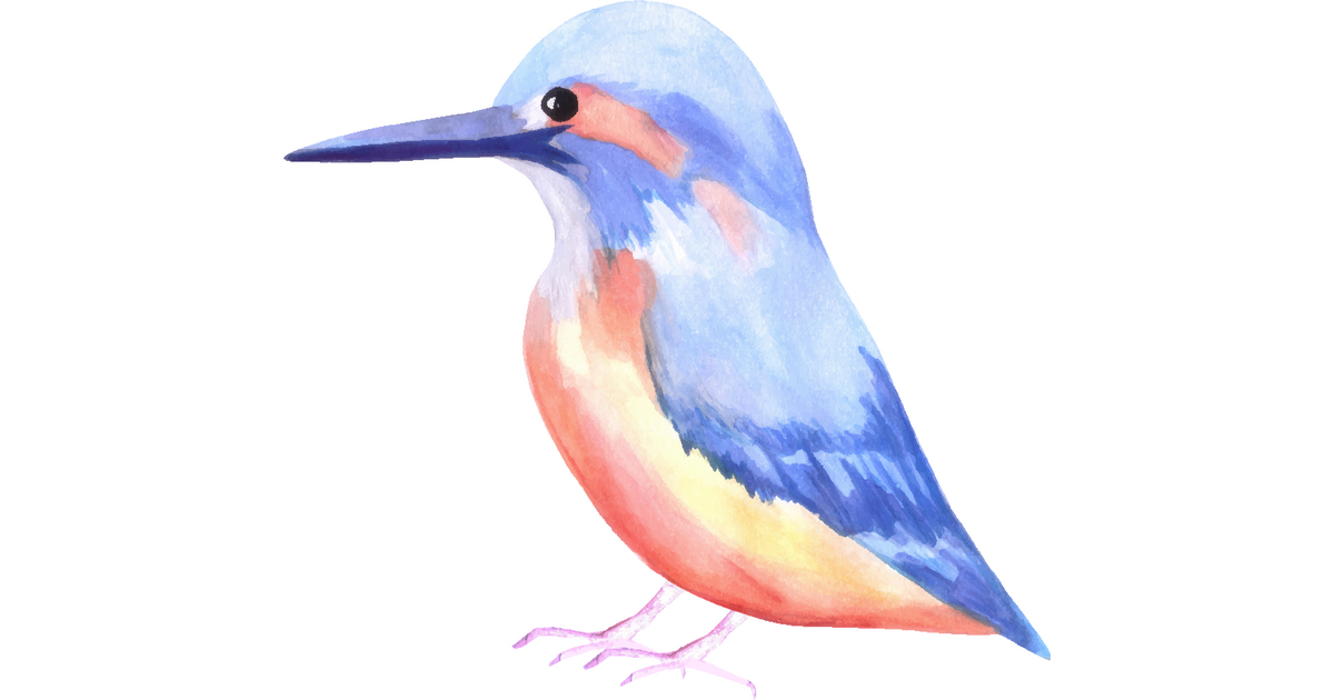 Latest Sold <a href="/VectorStock/">VectorStock</a> common kingfisher or alcedinidae isolated on white #VectorStock vs2.page.link/DDbr