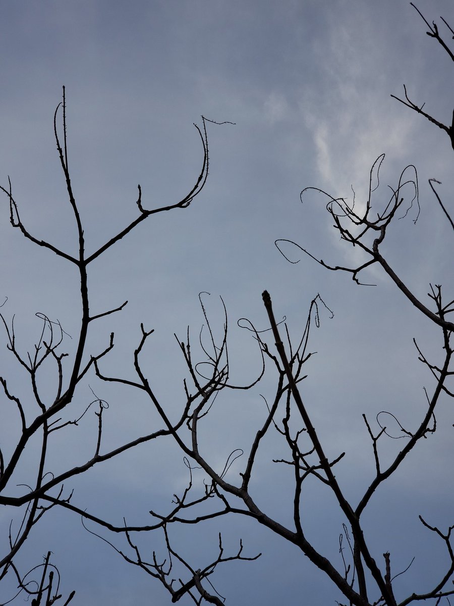 lesi_midwood's tweet photo. Sharp clouds in the sky. https://t.co/KrWHwAxIiE