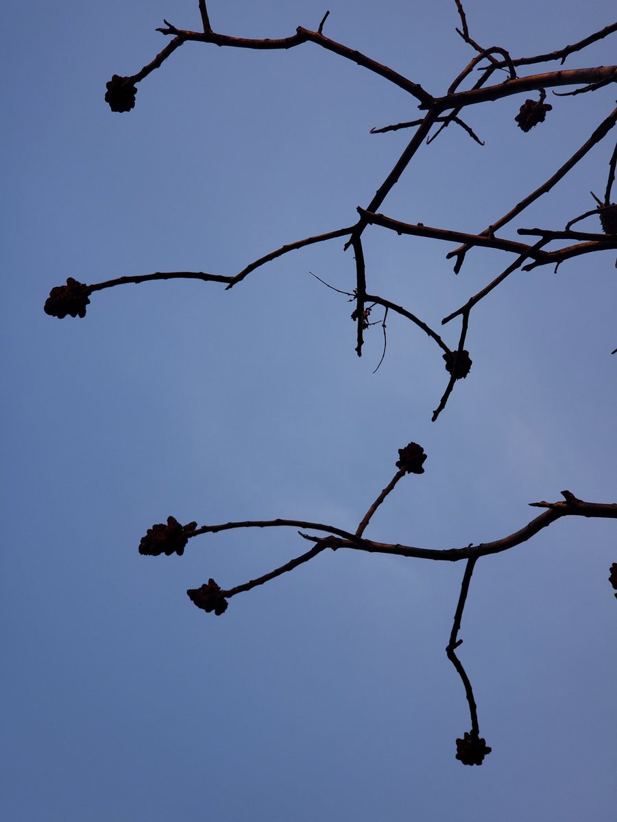 lesi_midwood's tweet photo. Sharp clouds in the sky. https://t.co/KrWHwAxIiE
