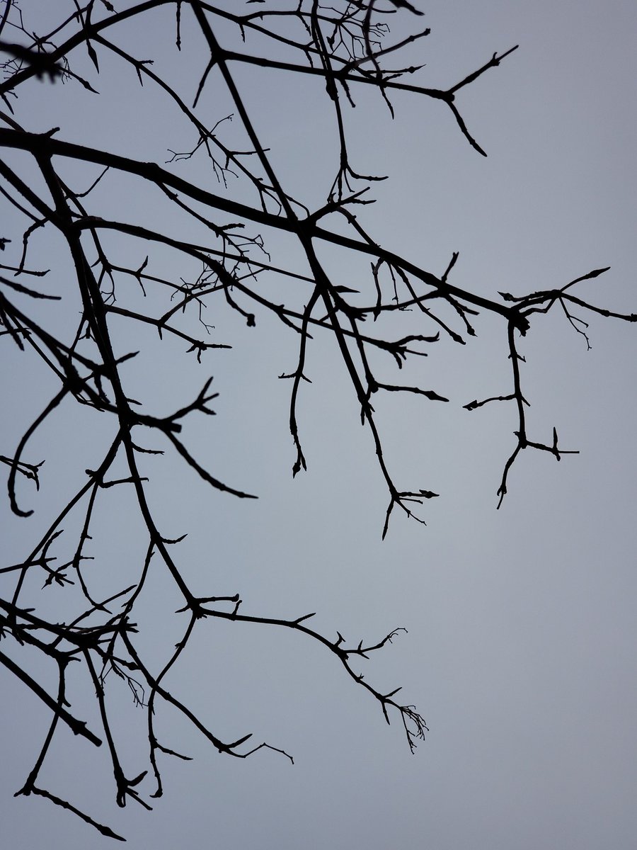 lesi_midwood's tweet photo. Sharp clouds in the sky. https://t.co/KrWHwAxIiE