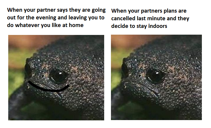 Purdoodles.basic🐉💚 tweet media