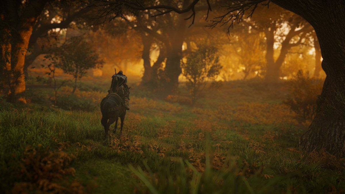 SH3RIFFO's tweet photo. @assassinscreed #CreedforClimateAction #AssassinsCreed #VirtualPhotography https://t.co/h6Yma4Oo1r