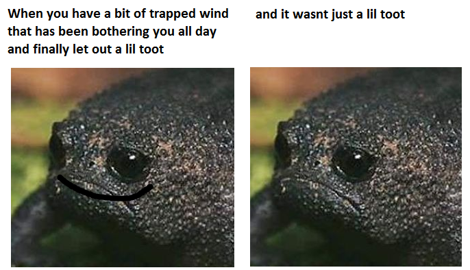 Purdoodles.basic🐉💚 tweet media