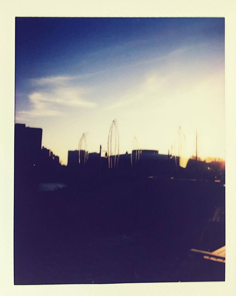 Nothing like an early morning rising the sun in a epic place. This picture was taken with my #instaxmini40 and is gorgeous #fuji #fujifilm #fujiinstax #instax #instaxfilm #photography #instaxphoto #fujilovers  #fujiinstaxmini #fujilove #photooftheday #ph… instagr.am/p/Con6ZPQrl_L/