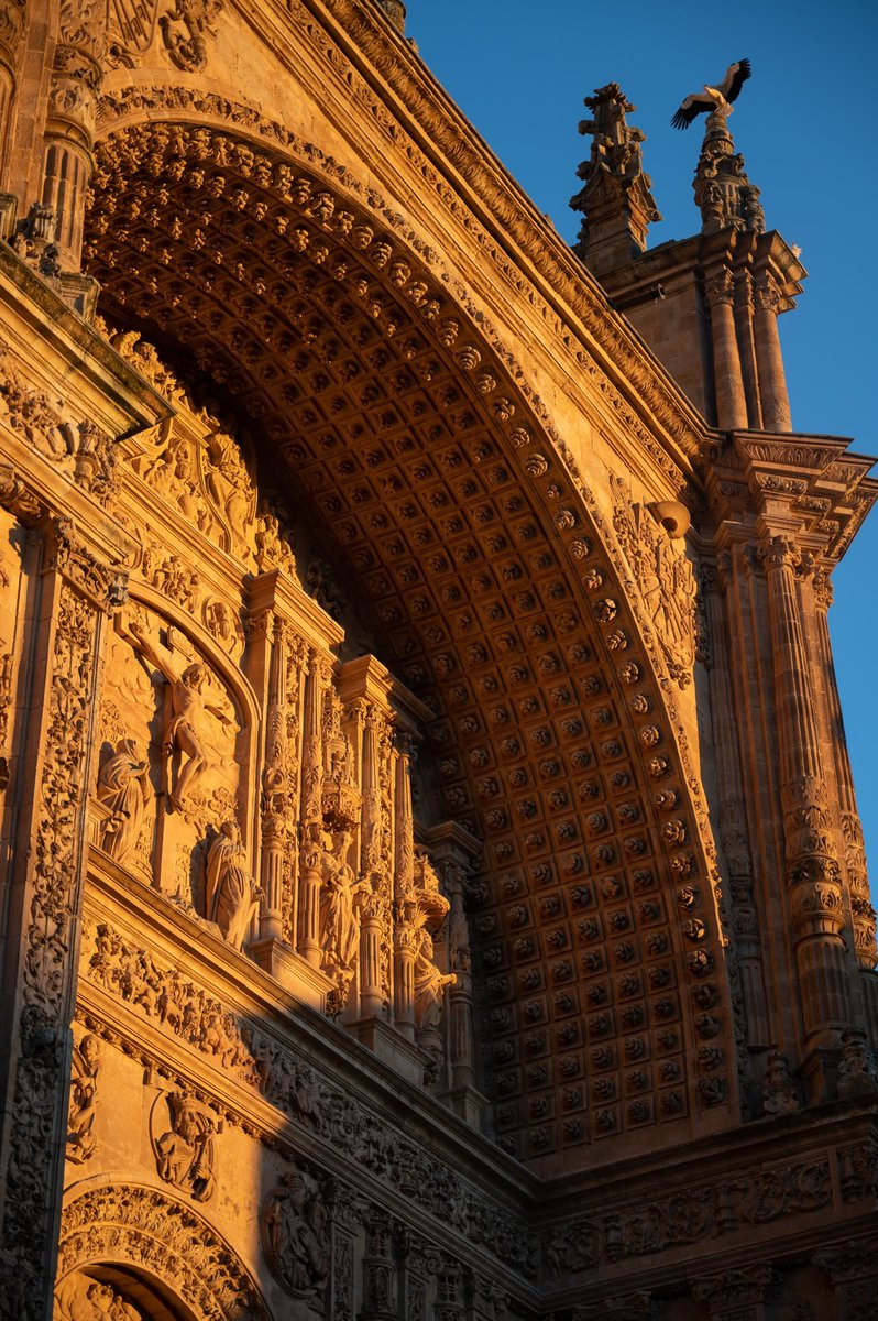 Convento de los Dominicos ☀️
#atardeceresmagicos #salamanca #españa #arquitectura #monumento #turismo #patrimonio #patrimoniocultural 
#fotografia #photo #photography #nikonz6ii