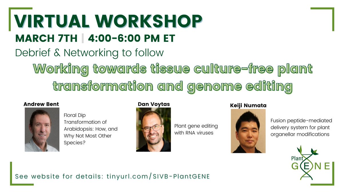 plant_gene's tweet photo. Looking forward to our first PlantGENE workshop! Website contains more info- including the zoom link. 
After the workshop, stay to meet other PlantGENE community members. 
#planttransformation #CRISPR #plantscience https://t.co/tefBxdXz6j