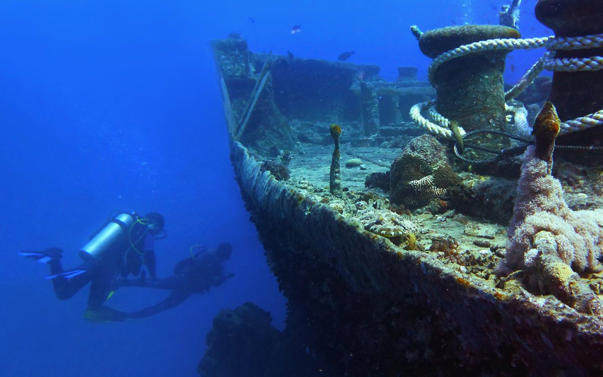 What's the most impressive shipwreck you've explored while diving? ⚓👇