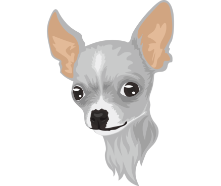 stakeingermany's tweet photo. Are you excited for the listing of $HUAHUA(@ChihuahuaChain) token on Demex Dex(@demexchange)?  
#Huahuaverse #NFTs #Metaverse #Dex #HuaHua https://t.co/Kgcpjhicnz