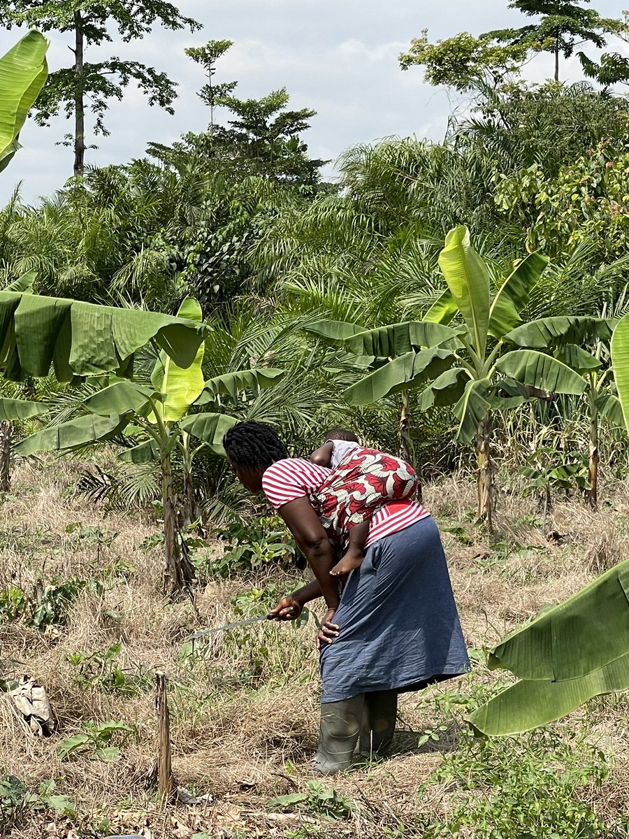Being a farmer and being a mother have so many things in common.  They both require fortitude, flexibility, creativity and harbor elements of surprise, shock, and awe💚