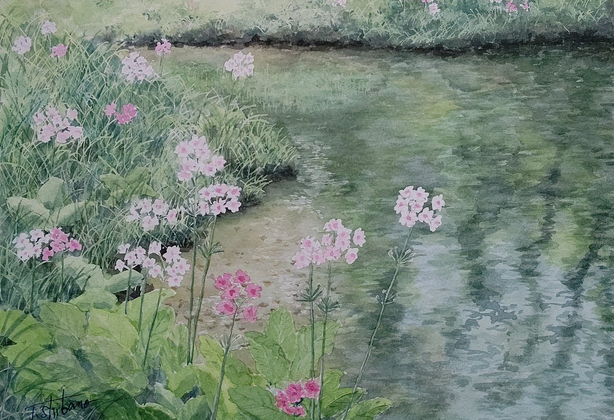 クリンソウ F4 #日光千手ヶ浜 #透明水彩 #風景画