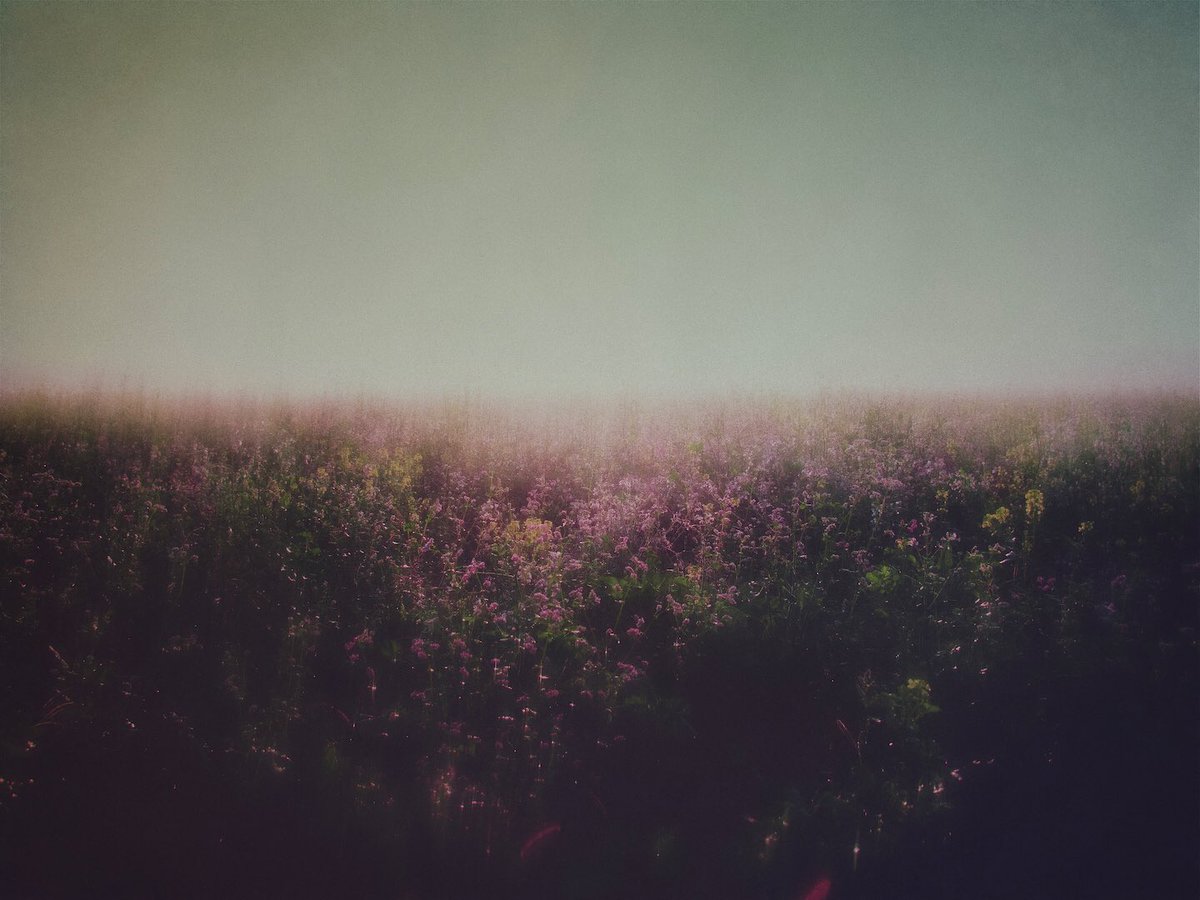 Thaddäus tweet media