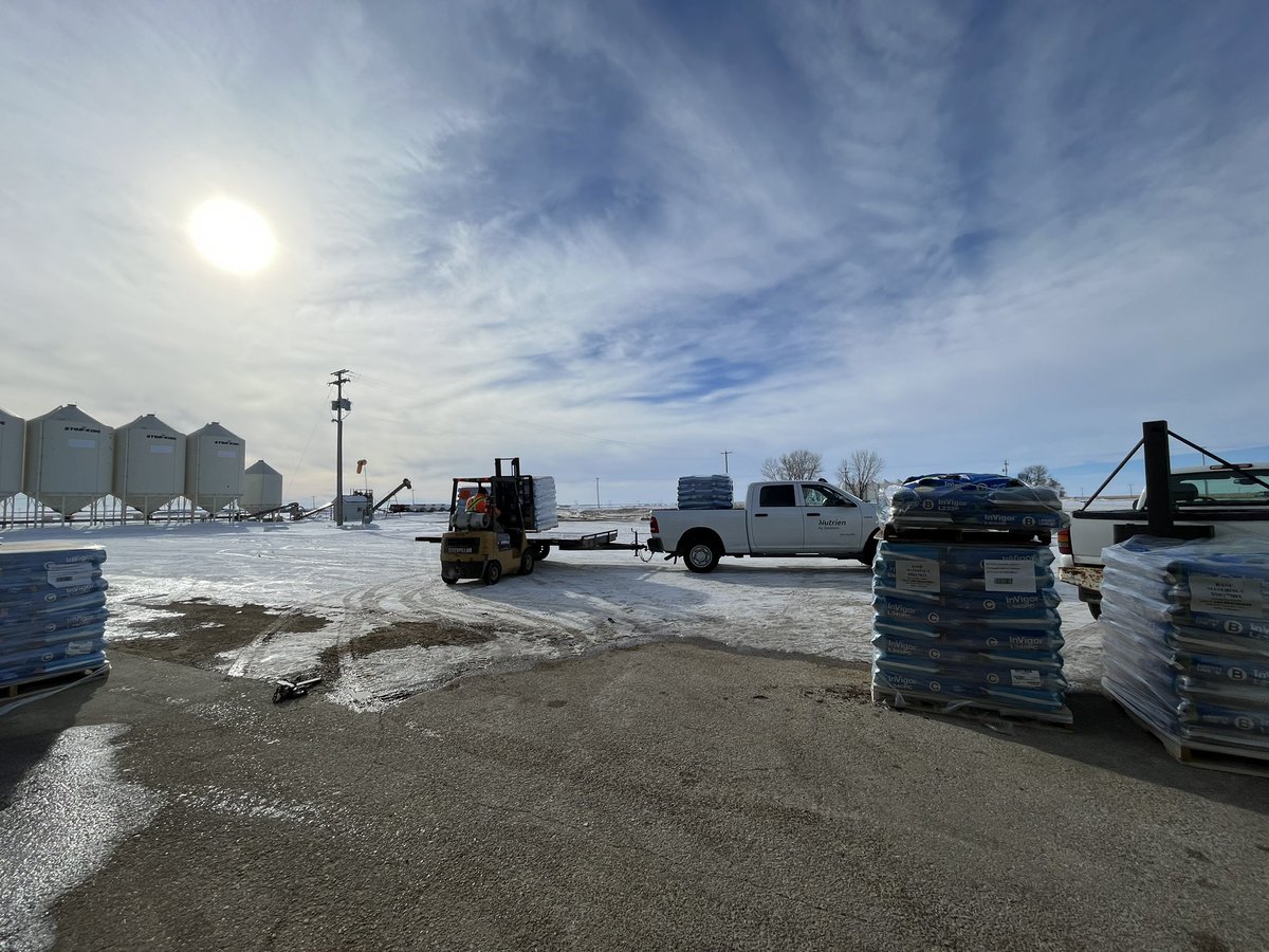 Starting to feel like spring around here