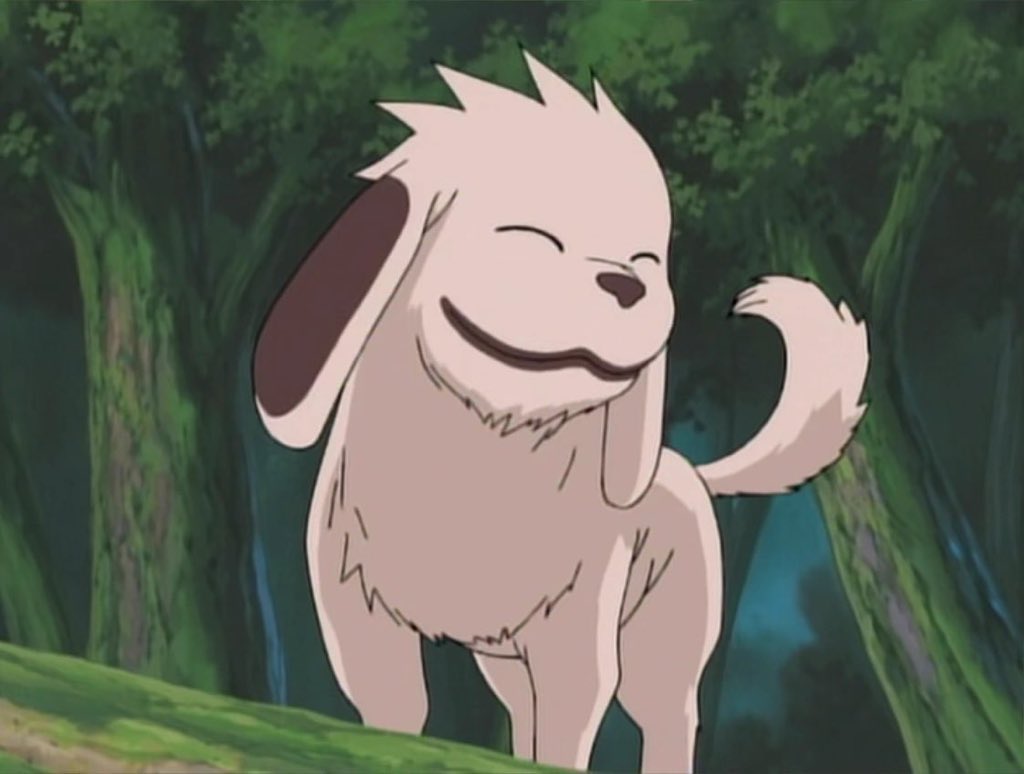 Miury on Twitter "Akamaru in real life in Naruto"