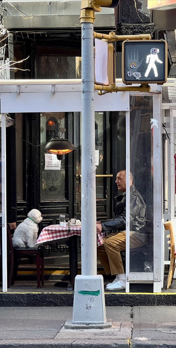 JibbyD's tweet photo. This is the best random picture I’ve ever taken. A man and his dog in SOHO, NYC. https://t.co/bnL7Ld09nA