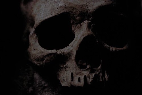 SnideCynic's tweet image. .                                  𝐄𝐕𝐀𝐍 𝐑𝐎𝐒𝐈𝐄𝐑