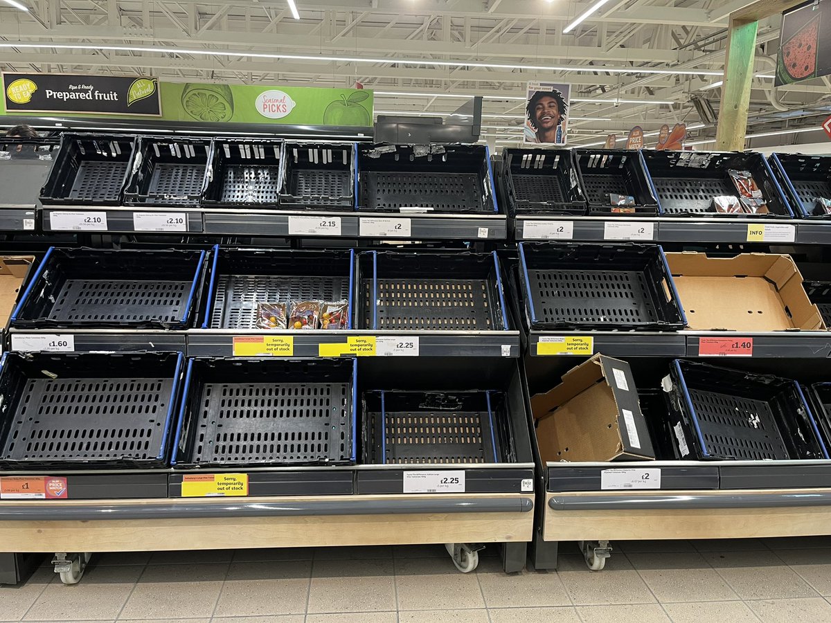 Julie McHamish tweet media