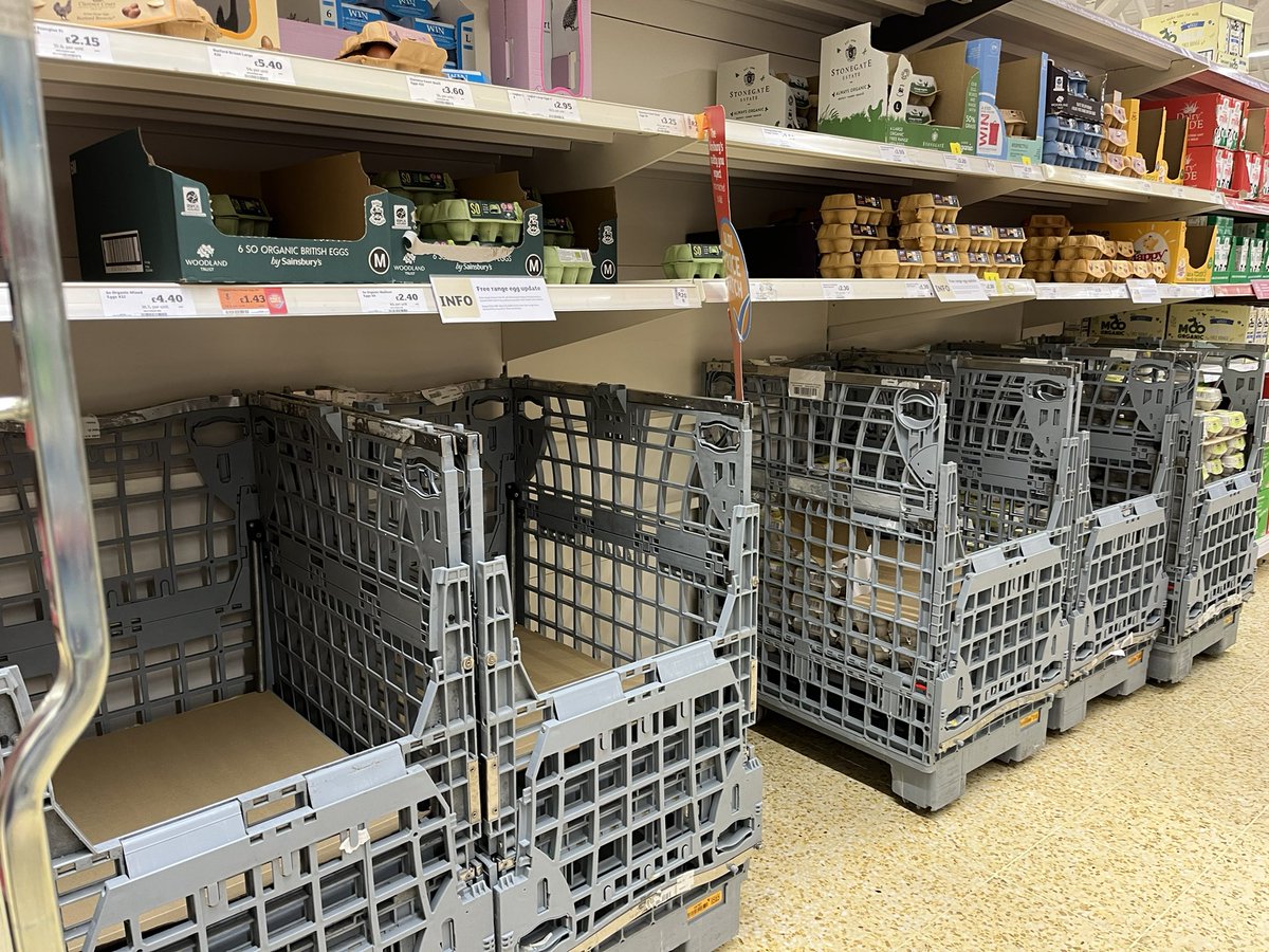 Julie McHamish tweet media