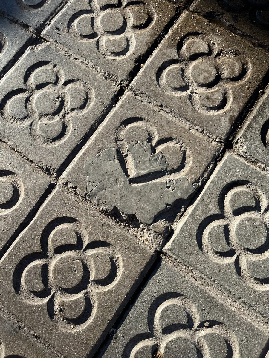 Enamorat de la flor de Barcelona

(Provença 474 #SagradaFamília) #panots