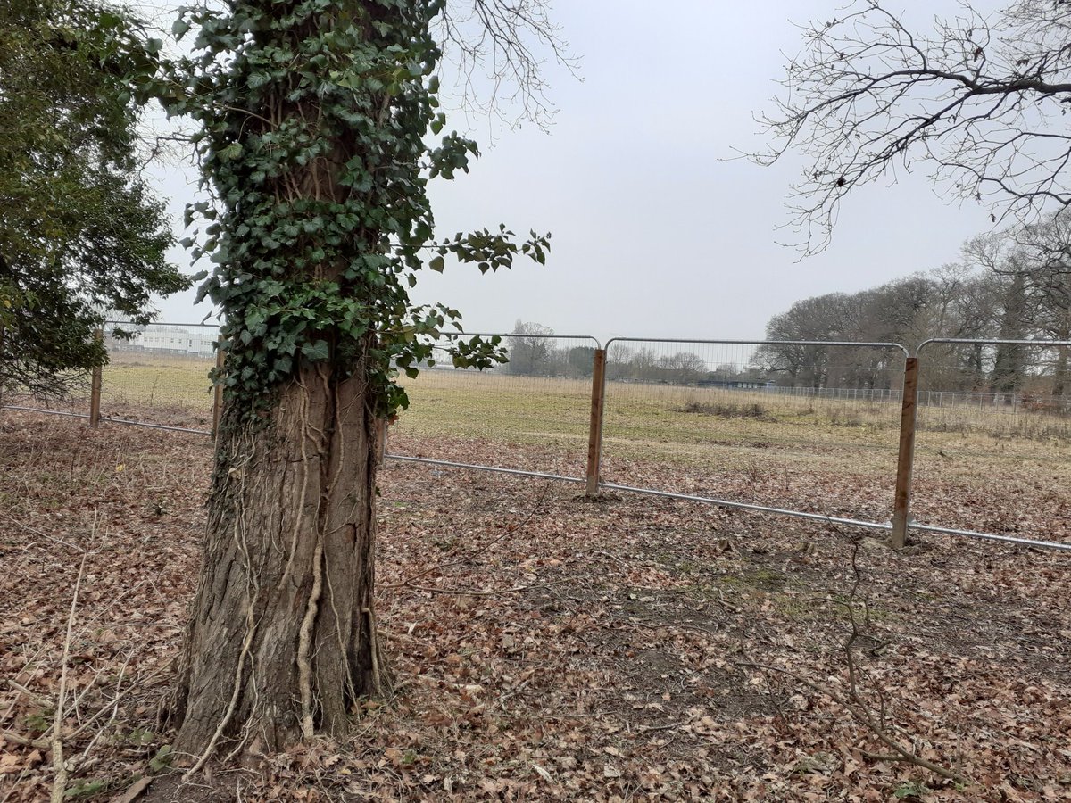 Such a sad sight.
 Gaywood Community Centre.
This Thursday 16th February 5pm-7pm. Put your questions to the developers.
corporatprojects@west-norfolkgov.uk