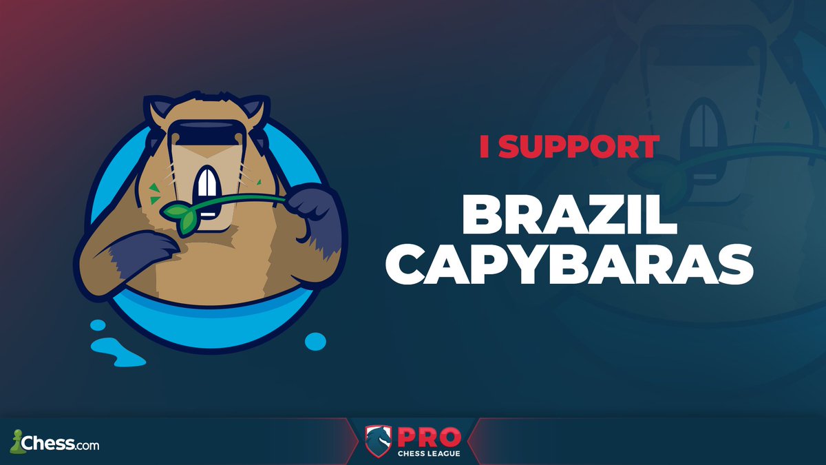 Anitta_Drink's tweet image. PCL starts tomorrow, and I support the Brazil Capybaras 💚🙌 #prochess 

Make your predictions and choose your favourite team for the 2023 Pro Chess League! go.chess.com/PCLpredictions