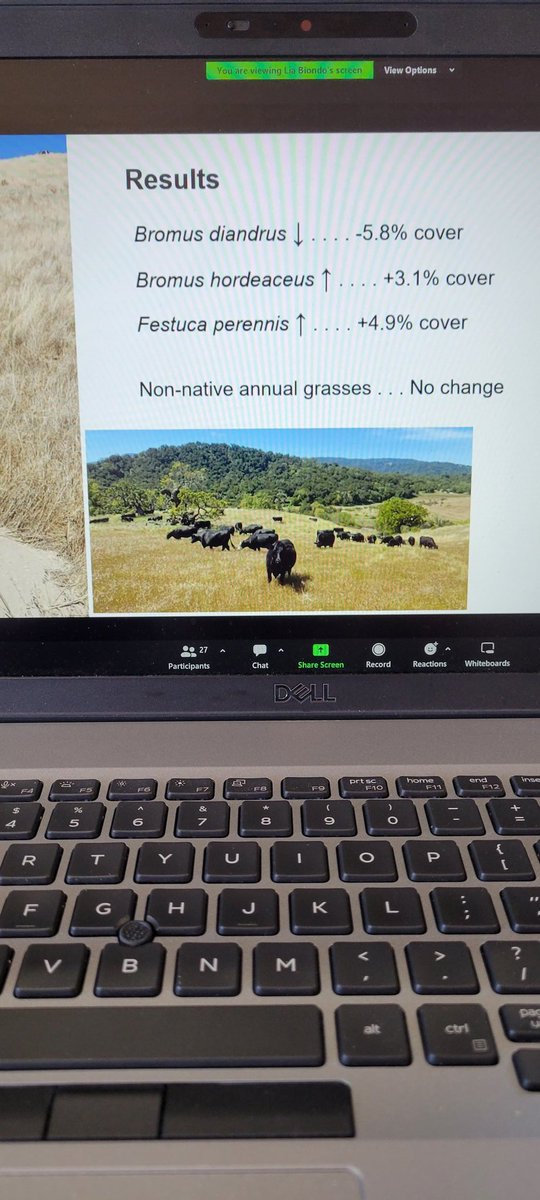 Brad Schick tweet media