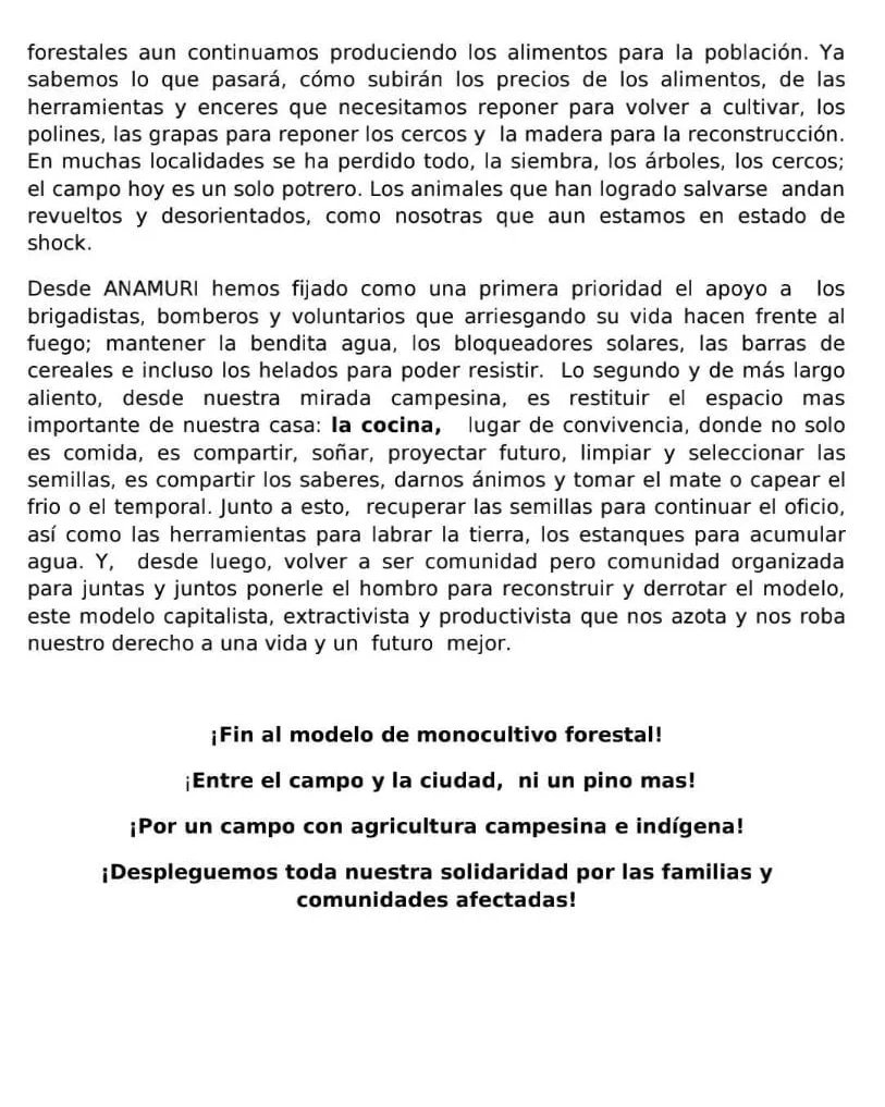 anamuriag's tweet photo. Compañer@s, compartimos 2do comunicado "Nuestras regiones siguen en llamas nuestros corazones también" Entre el campo y la ciudad ni un pino más!! #FinAlModeloForestal #finalmonocultivo #Anamuri #IncendiosForestales https://t.co/G0lEFmx2FU