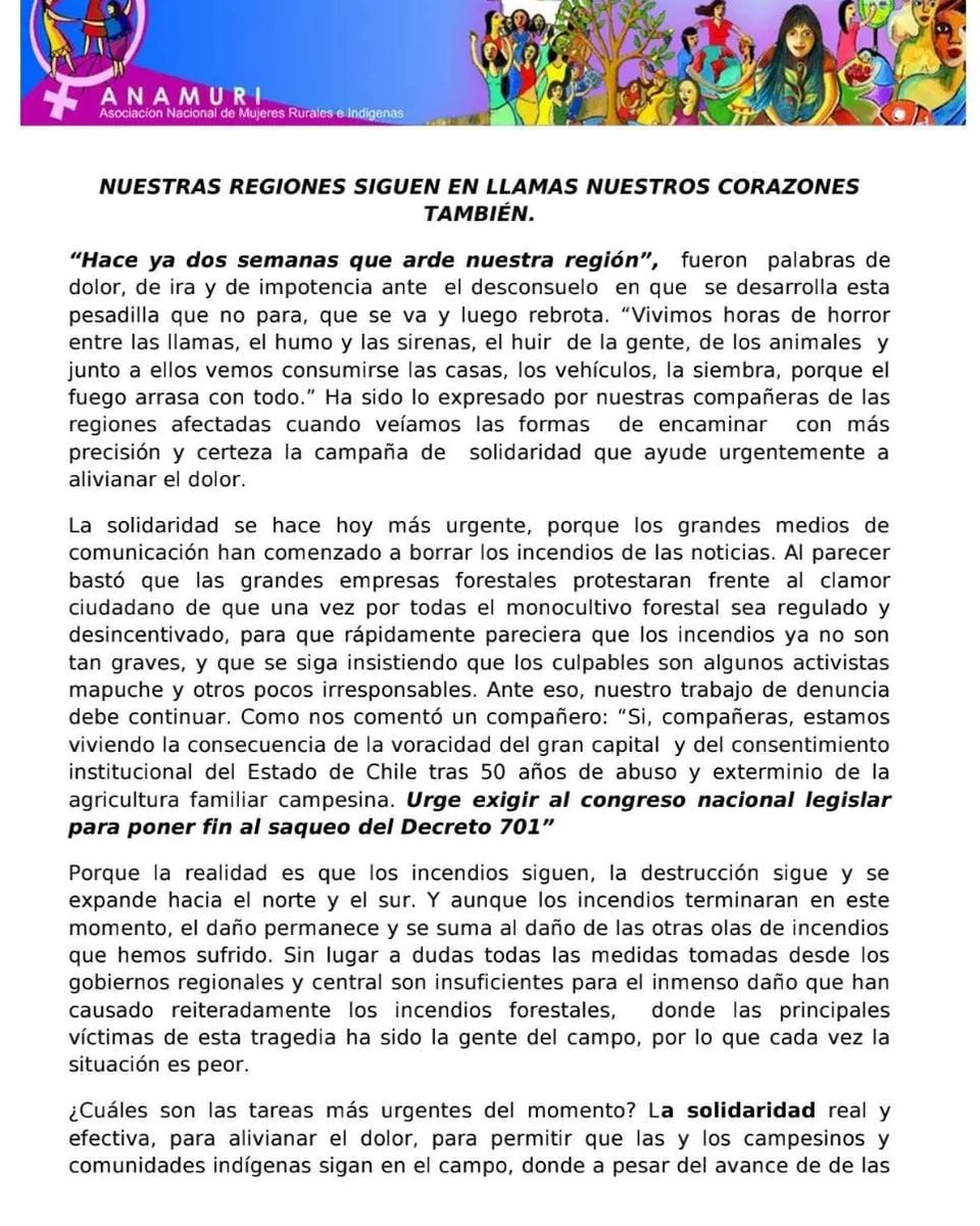 anamuriag's tweet photo. Compañer@s, compartimos 2do comunicado "Nuestras regiones siguen en llamas nuestros corazones también" Entre el campo y la ciudad ni un pino más!! #FinAlModeloForestal #finalmonocultivo #Anamuri #IncendiosForestales https://t.co/G0lEFmx2FU