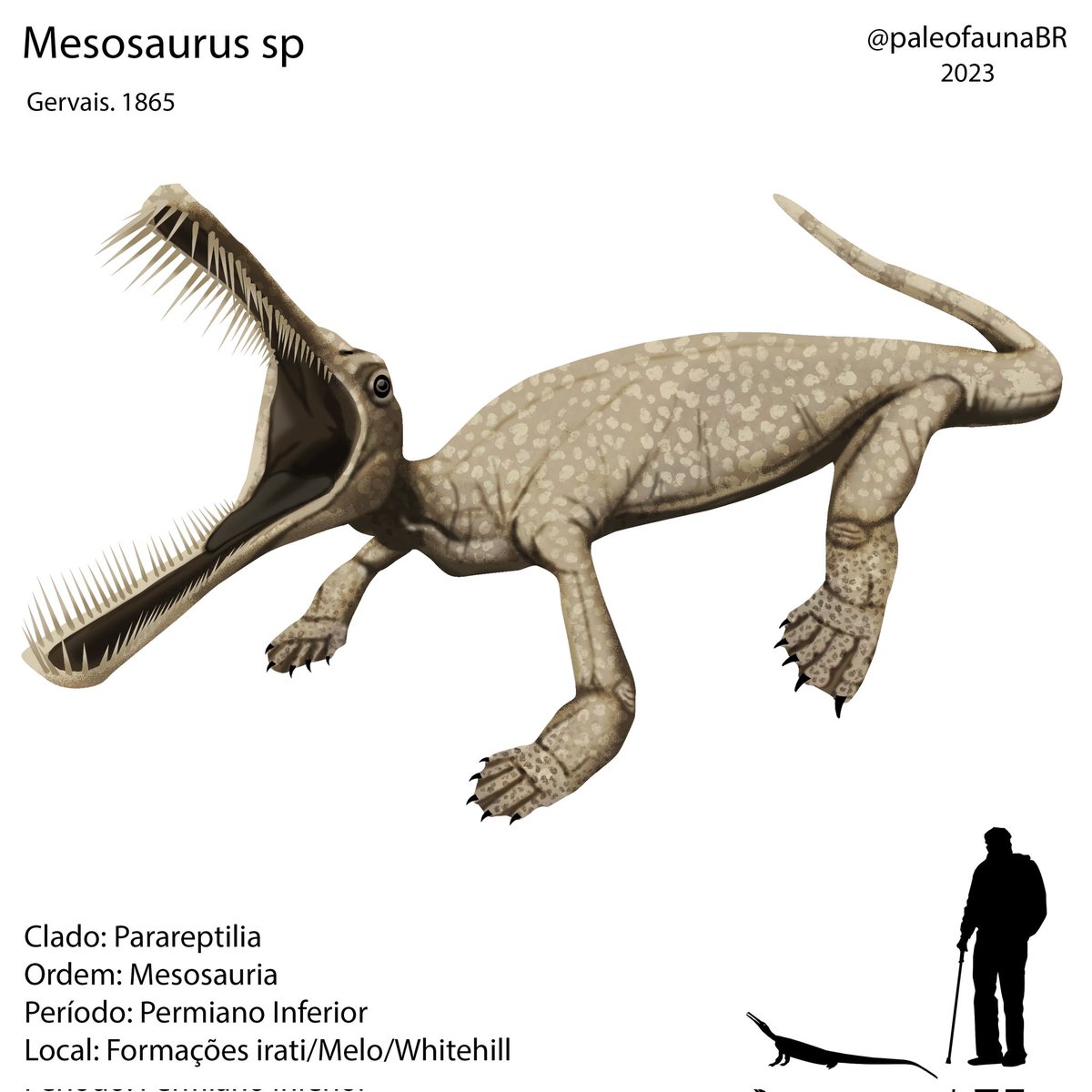 Mesosaurus pra vocês! Curtam e compartilhem!