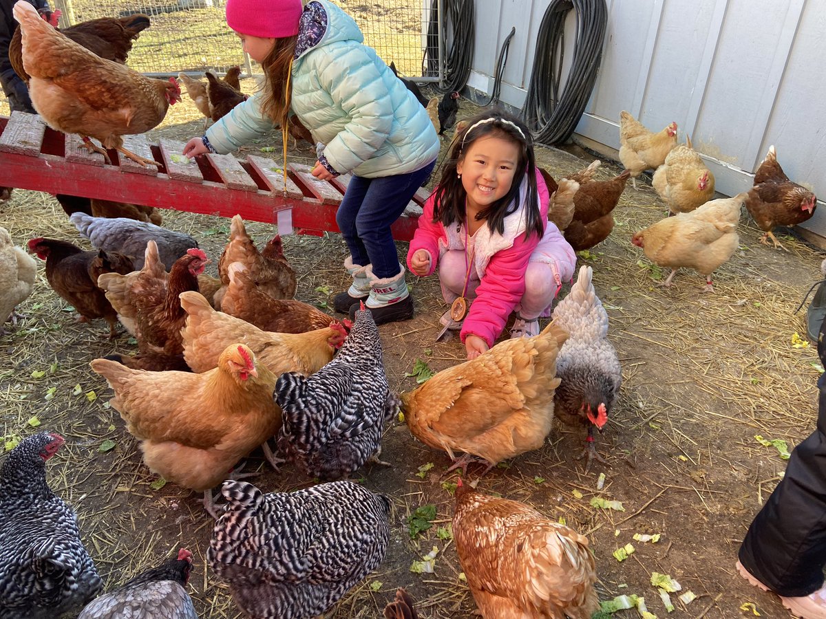 DK Ss see spring is approaching with all the baby animals at Bowers Farm! <a href="/MaryHillberry/">Mary Hillberry</a> <a href="/LonePineSchool/">Lone Pine Elementary</a> <a href="/bhschools/">BHSchools</a>