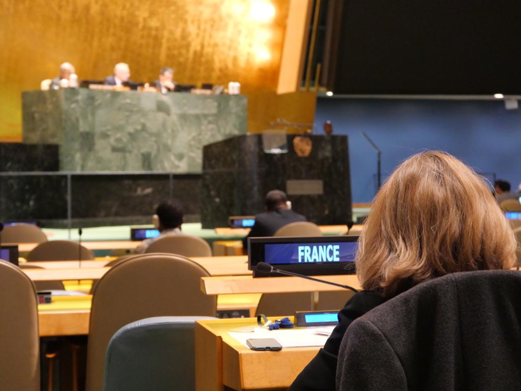 franceonu's tweet photo. UN Secretary-General🇺🇳 @antonioguterres briefed today Member States on #OurCommonAgenda.

🇫🇷 fully supports this agenda of action ➡️ Strengthening &amp; modernizing the @UN is essential to increase its effectiveness in the face of growing global challenges

#Agenda2030 https://t.co/Hu6e6Xe4da