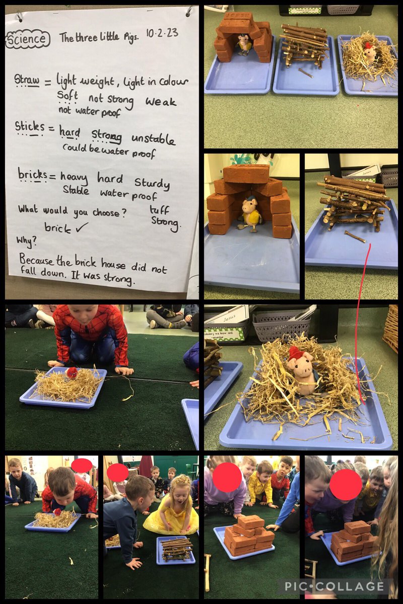 In Science Reception explored the different materials straw, sticks and bricks linking to our text The three little pigs, we even got to be the big bad wolf 🐺🤩 #BradleyGreenRec  #BradleyGreenScience <a href="/clpe1/">CLPE</a>